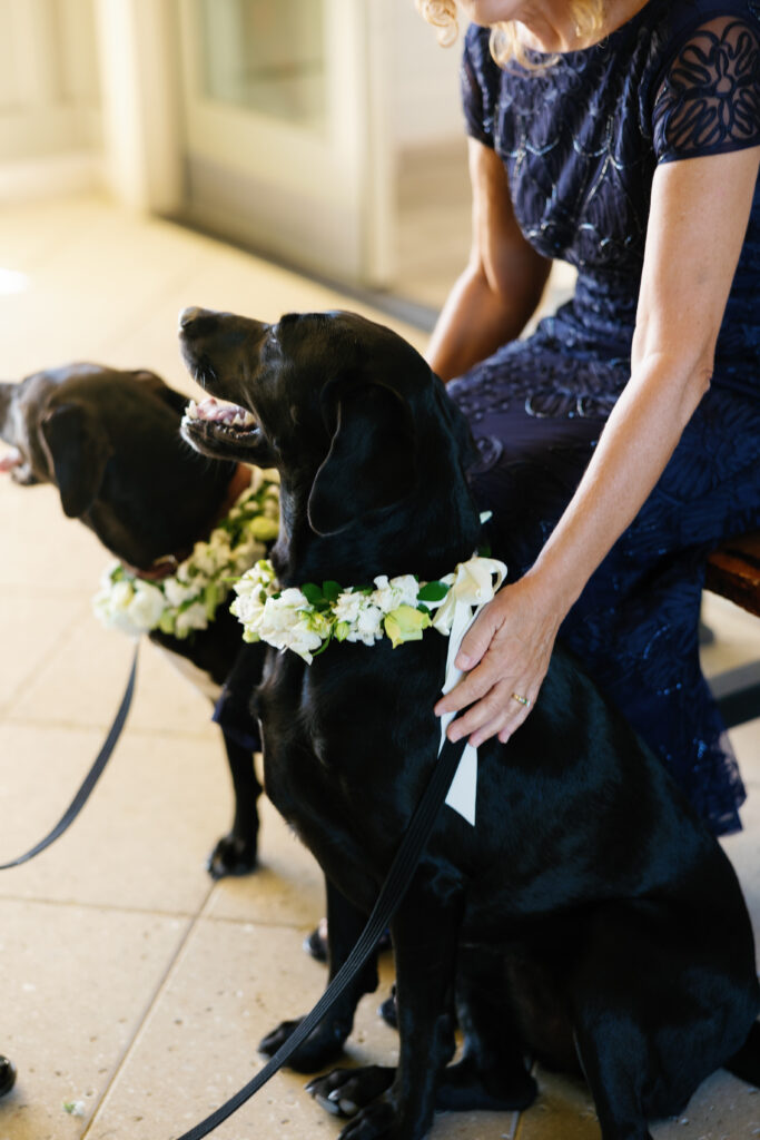 A bride and groom incorporate their two black labs in their wedding day on Crane Island in Amelia Island, FL captured by Tags Photography, an Amelia Island Wedding Photographer.
