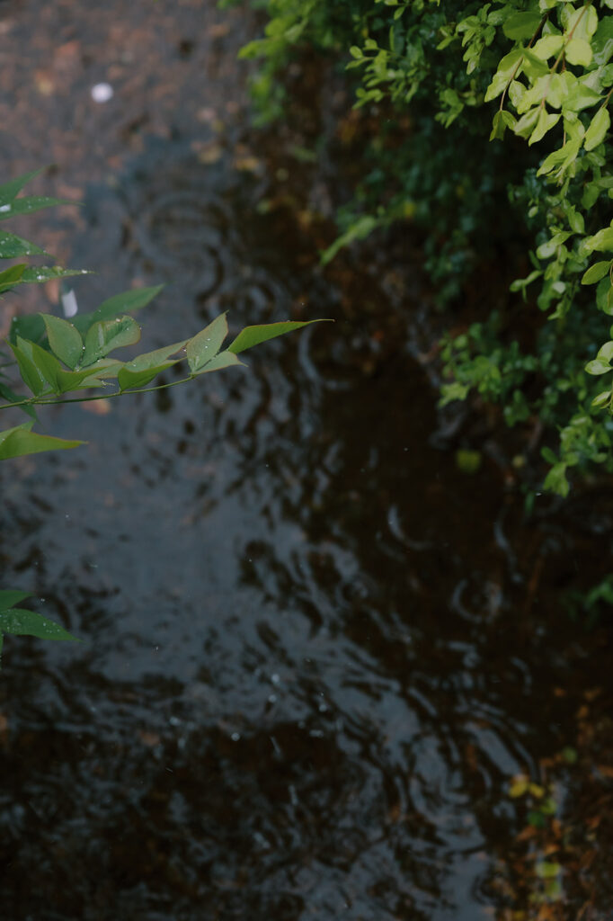 A rainy Spring wedding ceremony captured by Tags Photography at Meadows at Mossy Creek