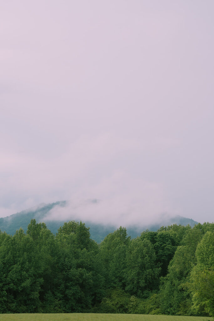 Tags Photography captures a rainy Spring Wedding at Meadows at Mossy Creek.